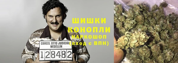 стафф Волосово
