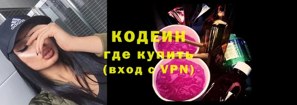 прущие грибы Верхний Тагил