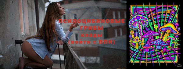 PSILOCYBIN Вязники