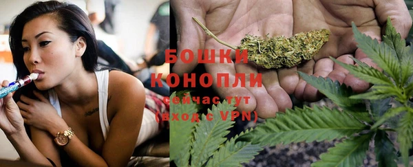 стафф Волосово